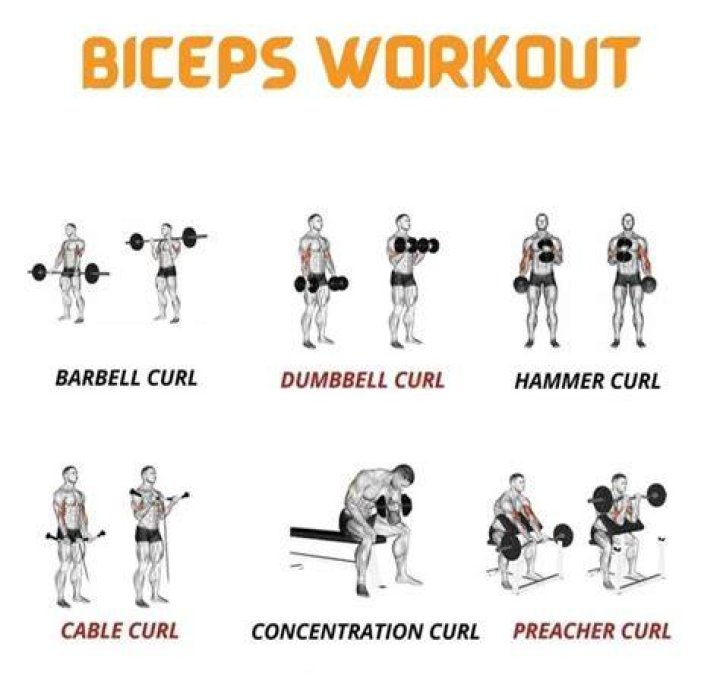18 Best Bicep Workouts & Exercises (According to Science) Old School Labs