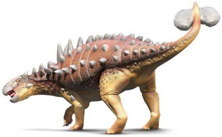 18 Euoplocephalus Facts