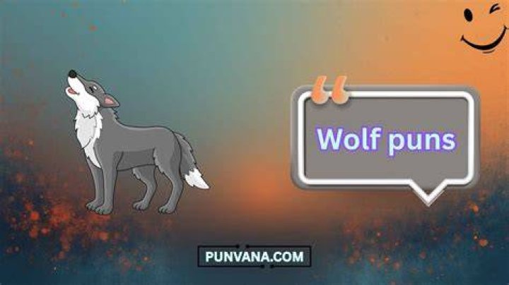 50+ Wolf Puns To Make You Howl With Laughter