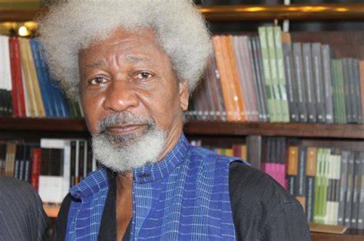 Explore The Extraordinary World Of Professor Wole Soyinka