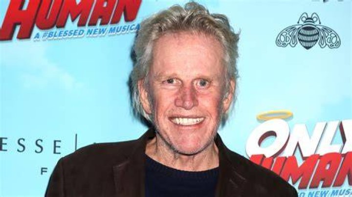 Gary Busey Says He Died During Brain Surgery and Then Came Back