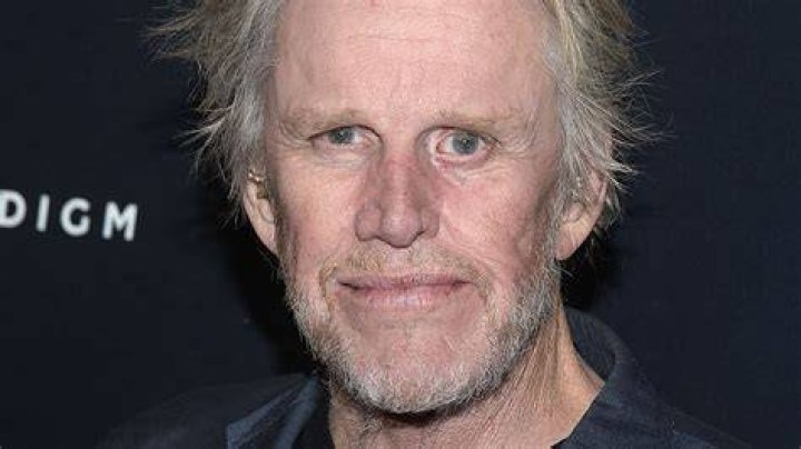 Gary Busey 'I passed away after brain surgery. Then I came back
