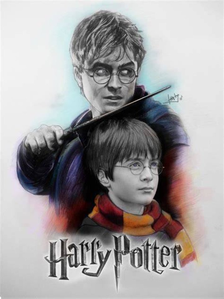 Harry Potter Diagram Quizlet