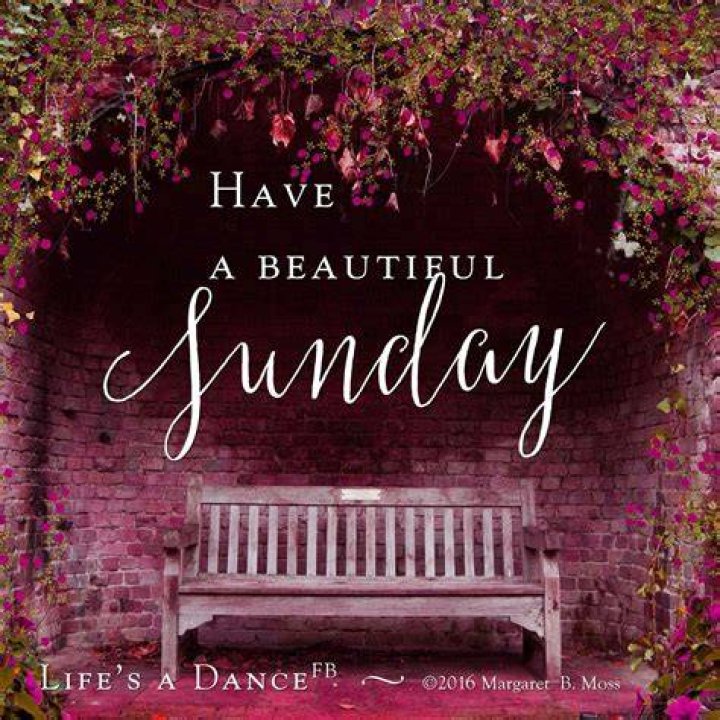 Have A Beautiful Sunday Pictures, Photos, and Images for Facebook