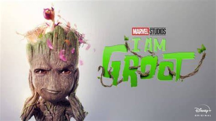 I am Groot Disney+ d&eacute;voile une premi&egrave;re image et une date officielle