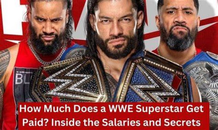 Inside The Fortune Of The WWE Superstar