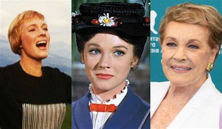 Julie Andrews' Grandchildren Maximillan Scheff, Hope Hamilton, And Sam