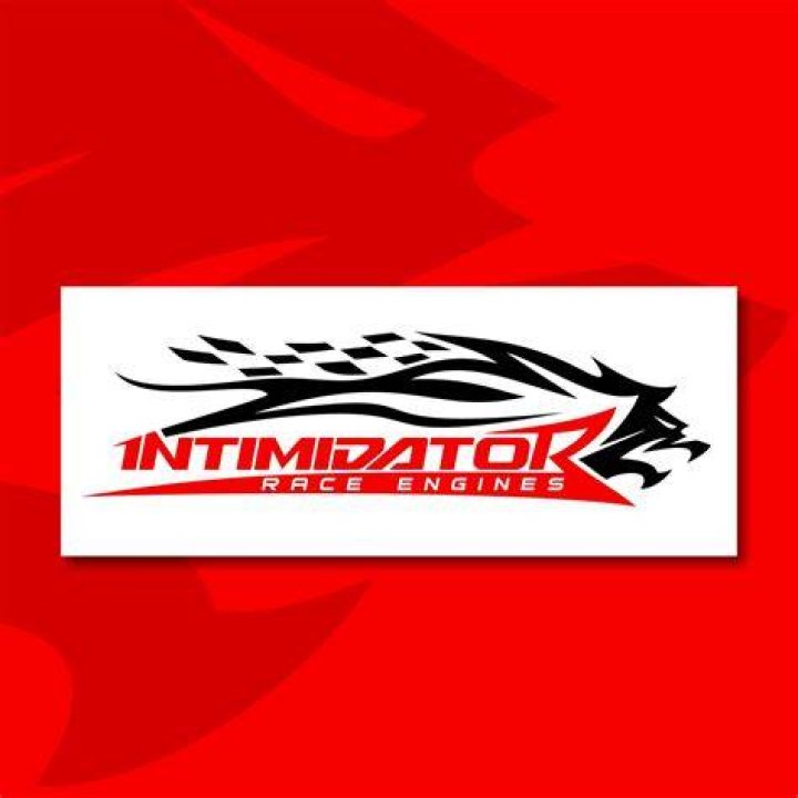 &ldquo;Intimidating to the Intimidator Himself&rdquo; Dale Earnhardt Jrs&rsquo; Sister