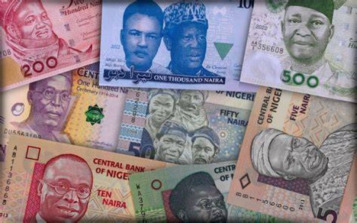 Nigeria 2019 Notes From the Field, By Reuben Abati Premium Times Opinion