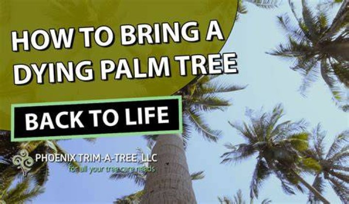 Palm tree back of the neck tattoo Palm tree tattoo, Neck tattoo, Back