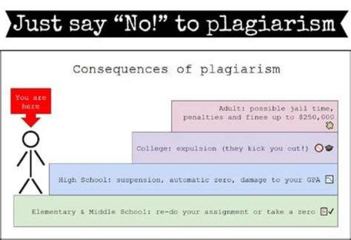 Plagiarism in the Romenesko age One strike and you’re out Bleacher