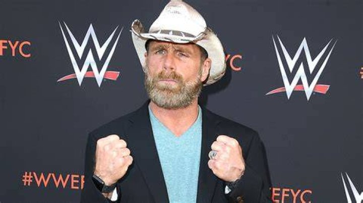 Shawn Michaels' reaction to Triple H's first rumored WWE signing of