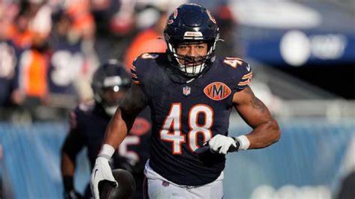 TJ Edwards 202122 Full Season Highlights [HD] YouTube