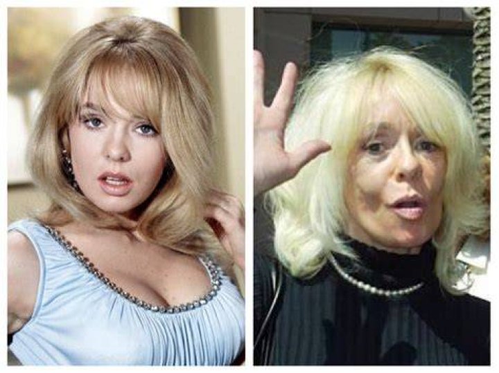 Unveiling Joey Heatherton's Captivating Legacy: Exploring Her Biography