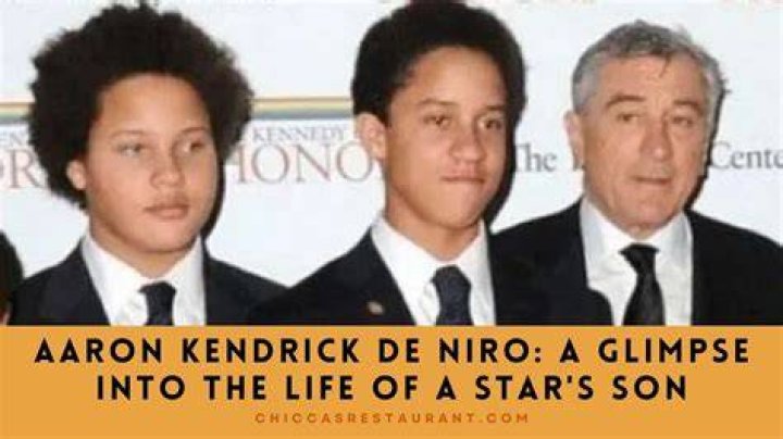 Unveiling The Multifaceted World Of Aaron De Niro: Discoveries And Insights