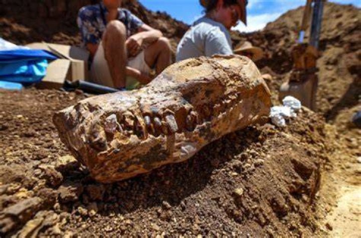 Unveiling The Treasures Of "Rico O' Day": Discoveries And Insights