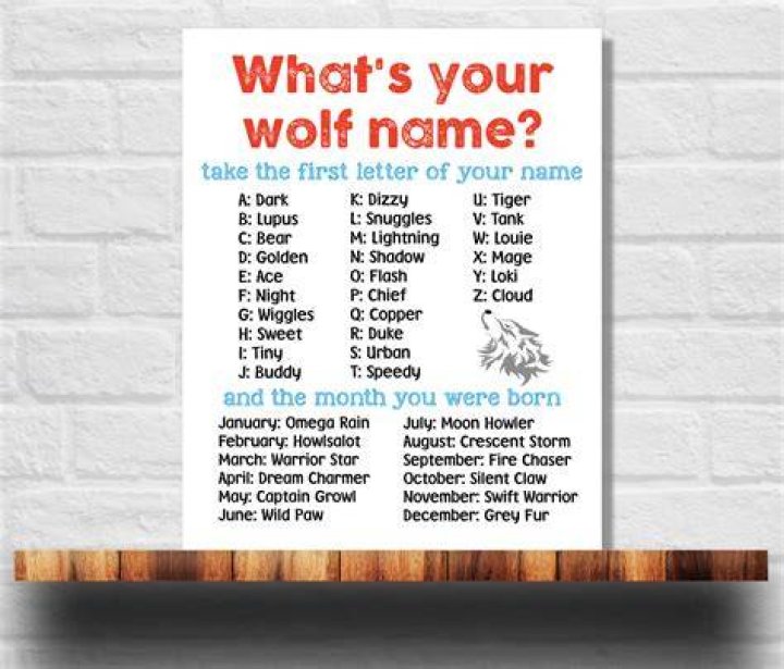 what is your wolf name? Funny memes, Wolf name, Werewolf name